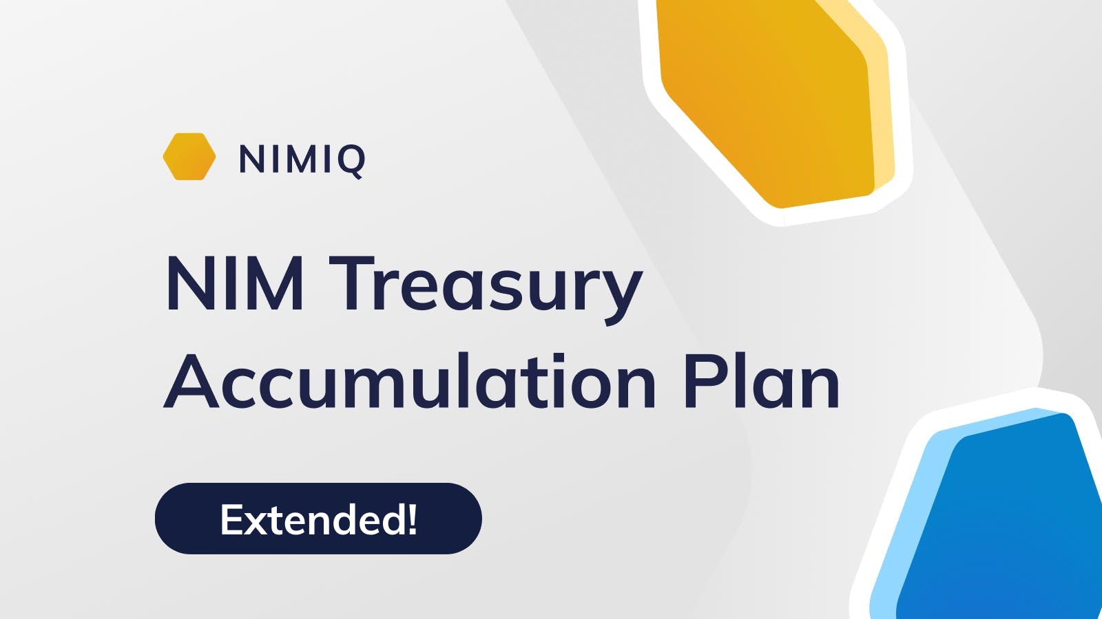 Announcing the NIM Treasury Accumulation Plan: Term 2