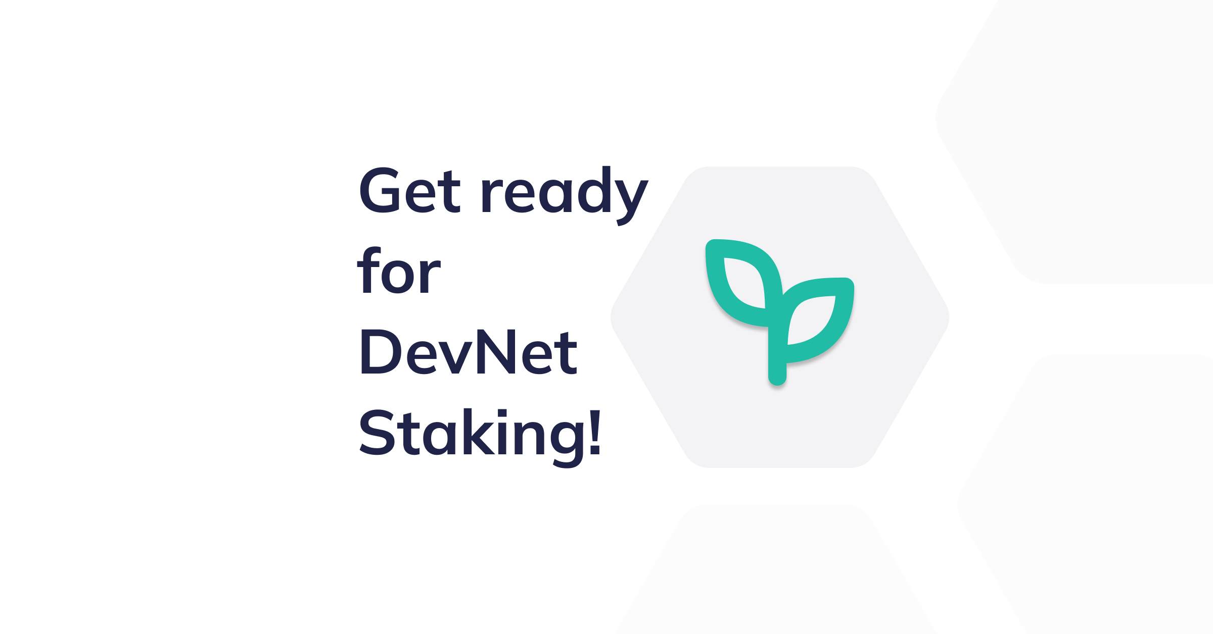 Early Access to DevNet staking in the Nimiq Wallet