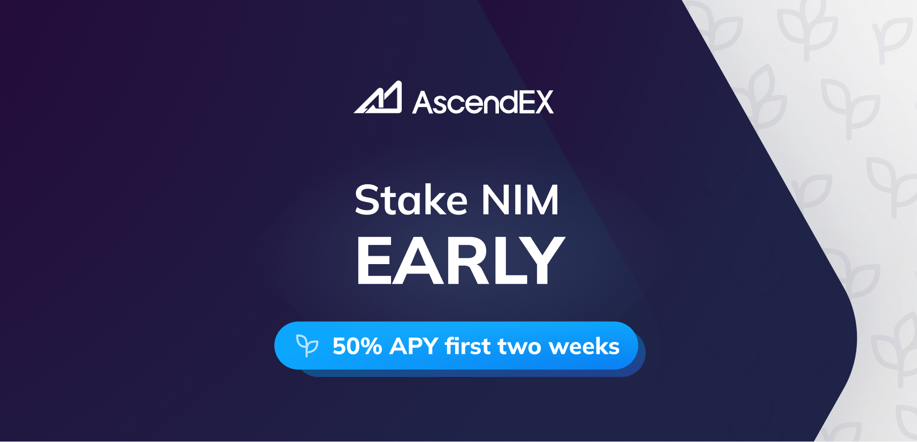 Unlock Unique Promotional Rewards with Nimiq & AscendEx's Early Staking Campaign as We Transition to Nimiq Proof-of-Stake