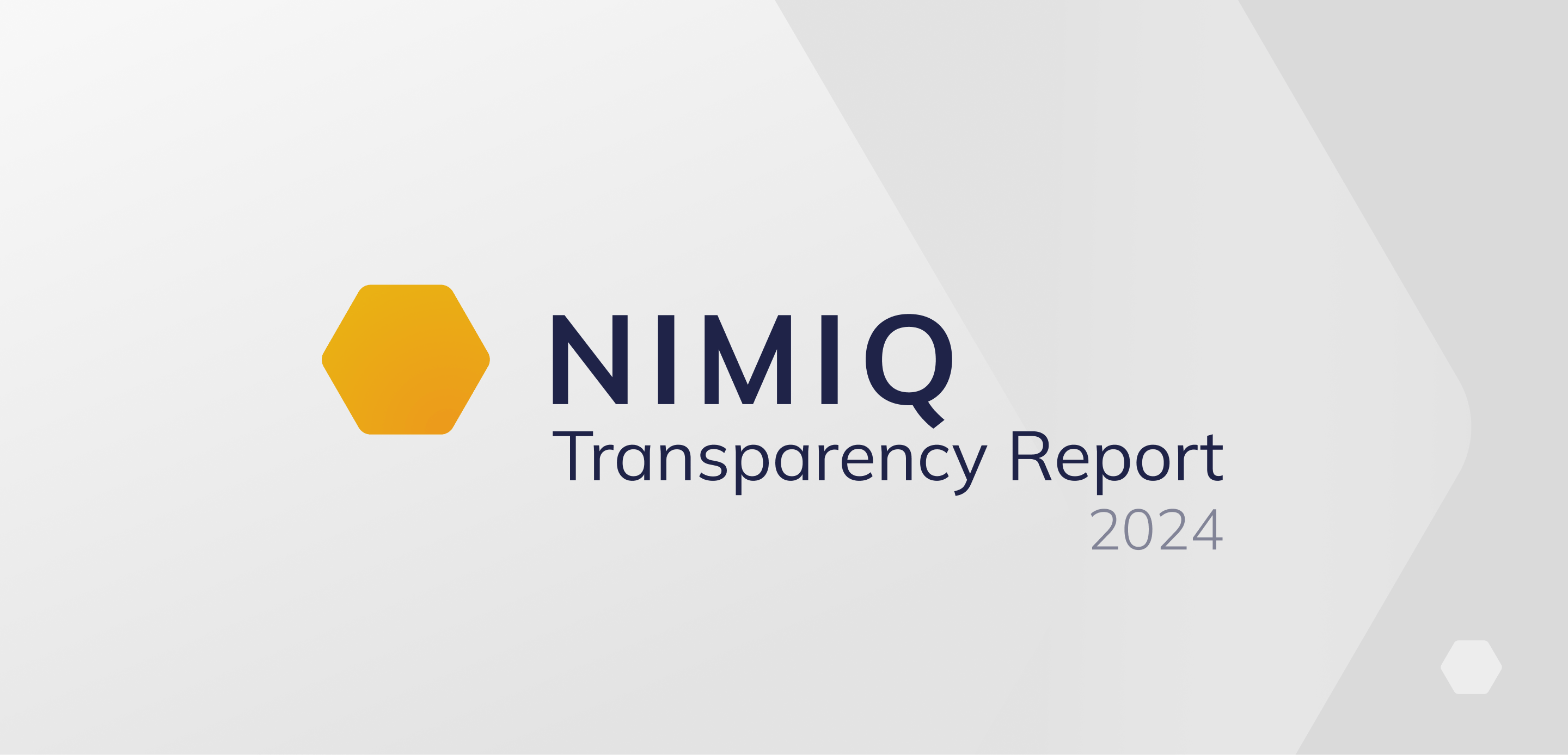 Transparency Report 2024